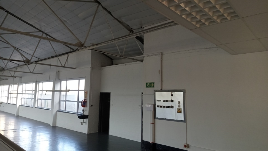 To Let Commercial Property for Rent in Maitland Western Cape